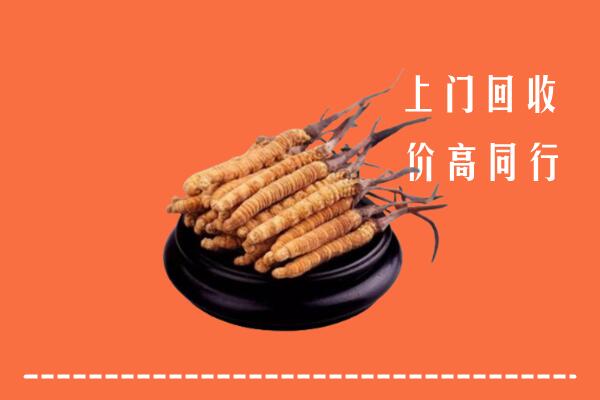 高价求购：大同回收散虫草